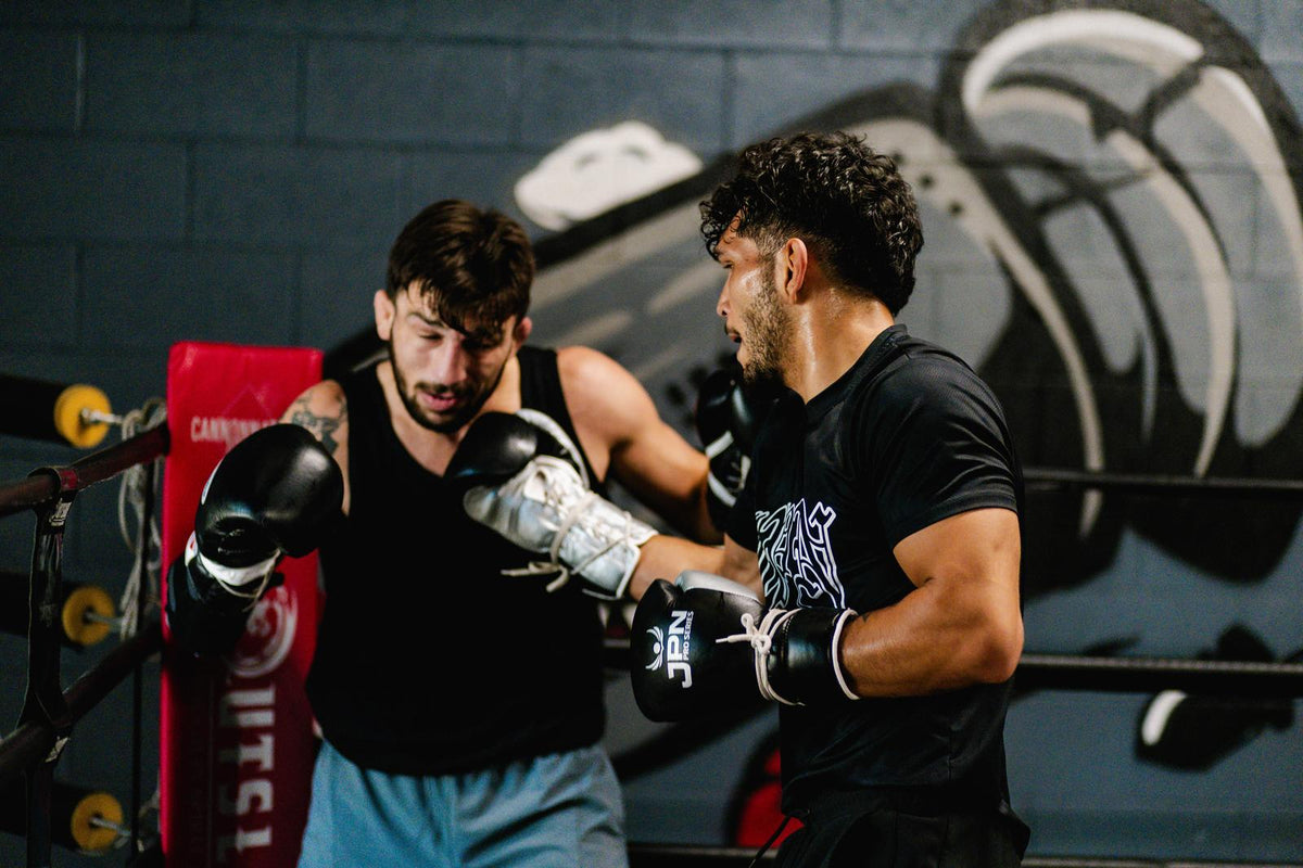 Sparring in JPN Pro Series gloves in the ring